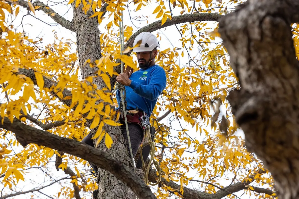 Skilled Storm Damage Cleanup crew working in Fruitland